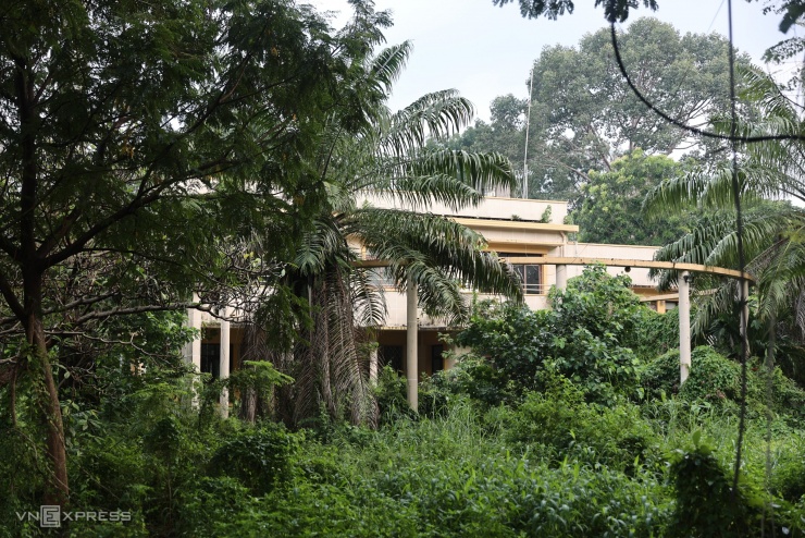 Khuôn viên một biệt thự trong khu đất sau khi được phát quang, vệ sinh so với thời điểm năm ngoái.