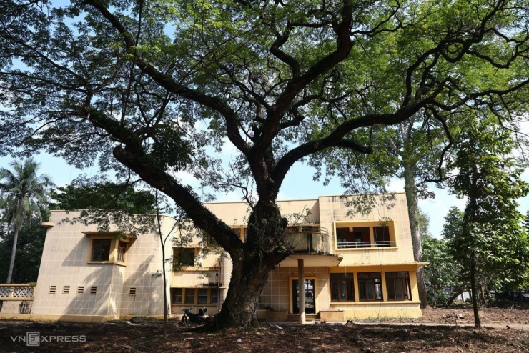 Phần lớn cây xanh, nhất là cổ thụ được giữ lại để làm công viên.