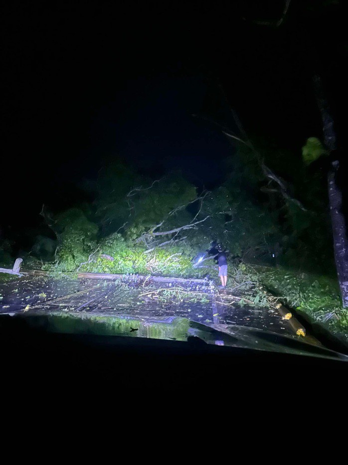 Cây cối và cột điện ngã đổ đã chắn ngang đường cao tốc Transcentral ở Barangay Sirao, TP Cebu, tối 3-11. Ảnh: X