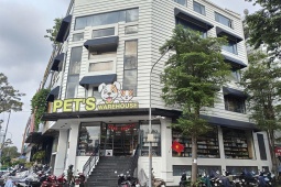 Pet's Warehouse - Siêu thị thú cưng dành riêng cho boss của bạn
