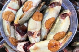 Cá da trơn bụng vàng ươm toàn trứng, mỗi năm chỉ có một mùa, giá cao ngất vẫn được săn lùng