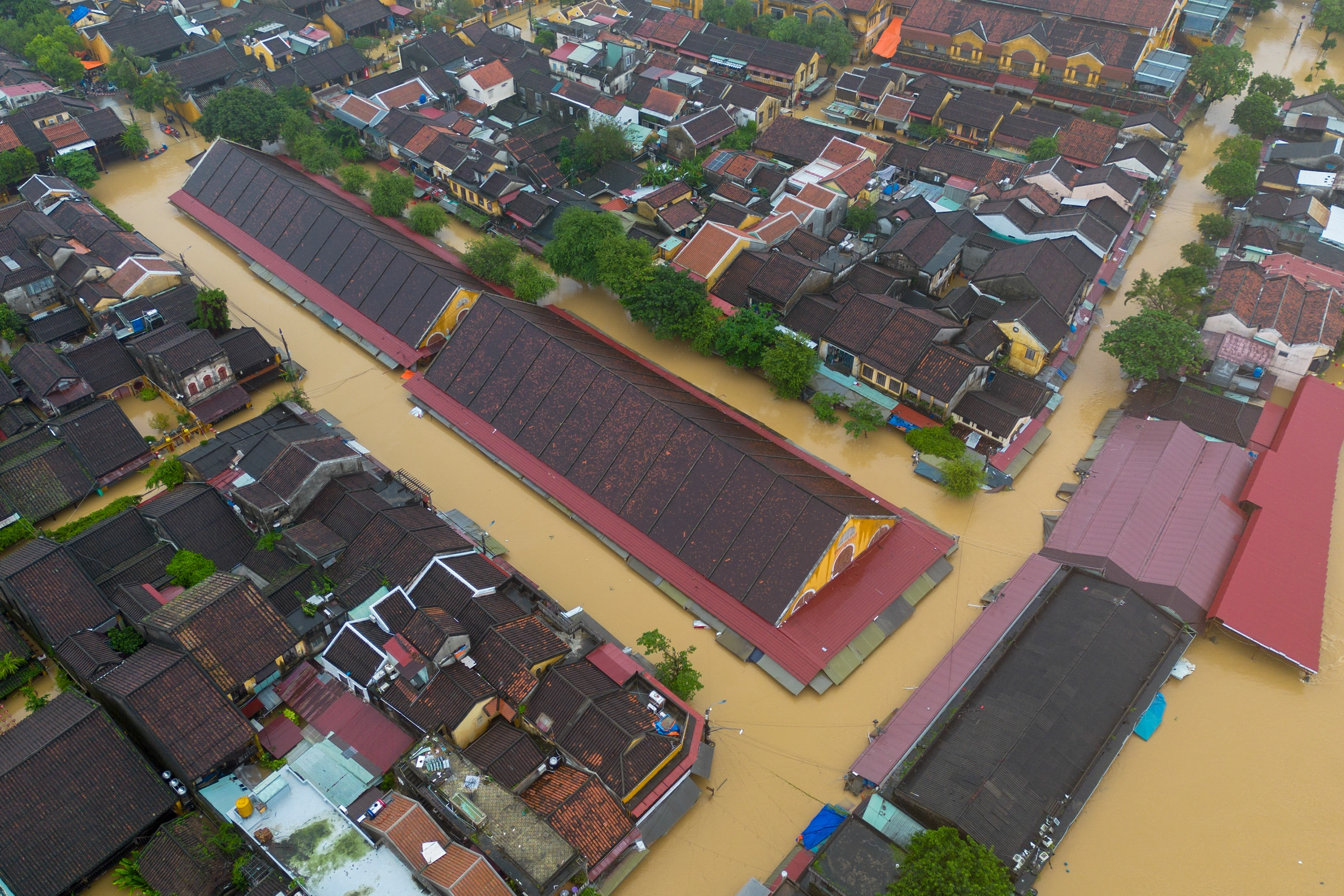 Di sản Hội An một tuần ngâm lũ - 8