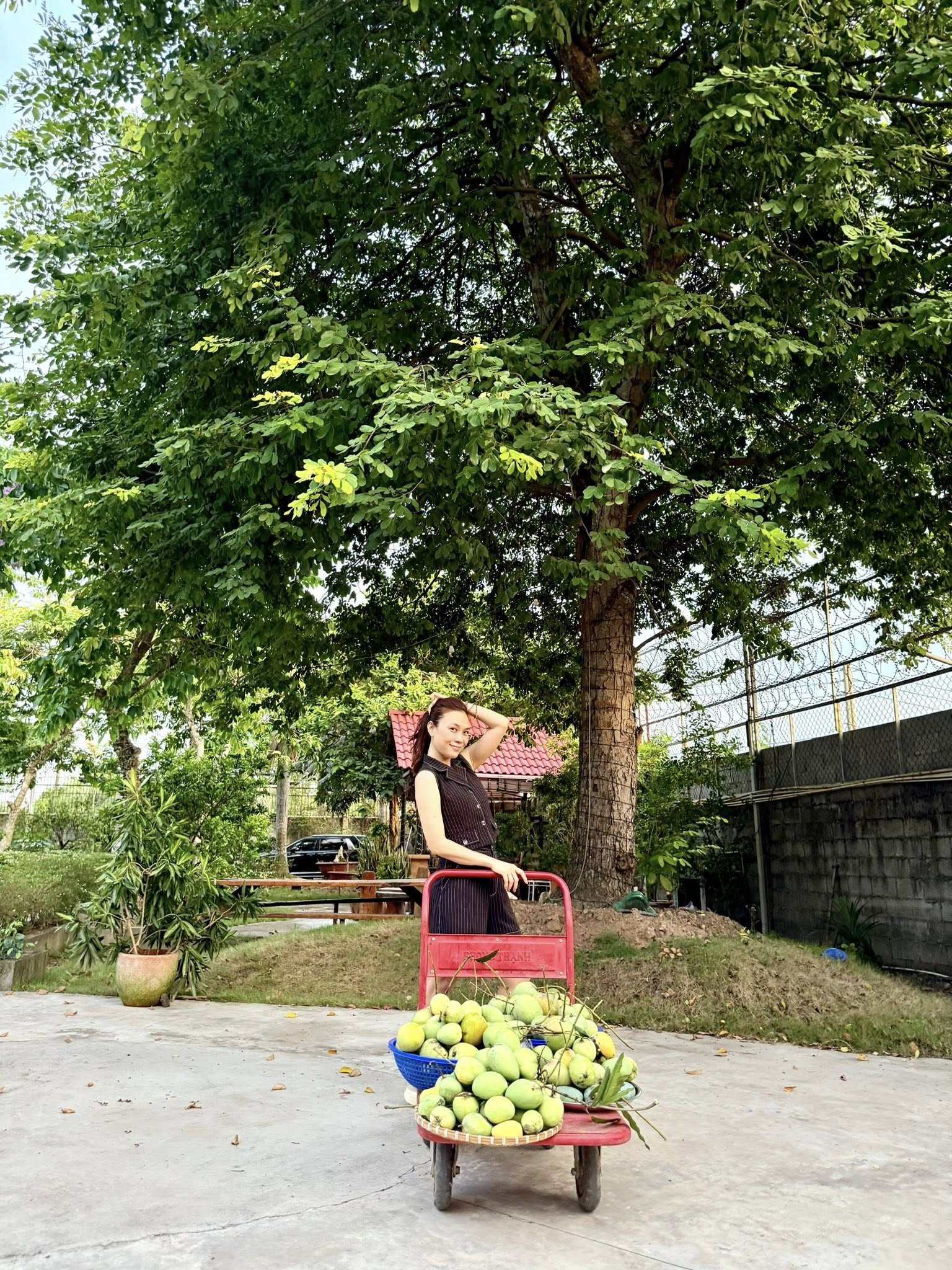 Mỹ Tâm 'rất ngầu' tạo dáng ở nhà vườn rộng như biệt phủ, Xuân Hinh hát chầu văn - 3