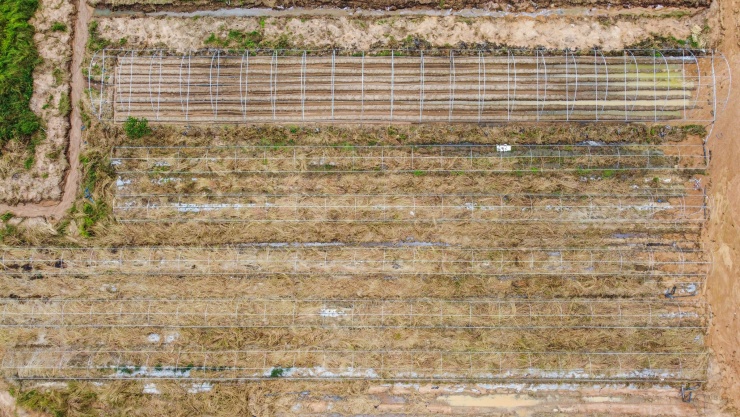 Trang trại trên núi tan hoang sau vỡ hồ nước - 13