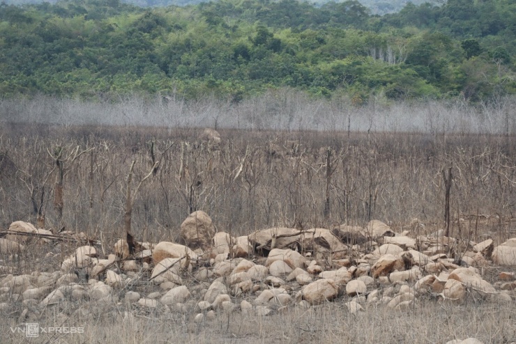 Trang trại trên núi tan hoang sau vỡ hồ nước - 11