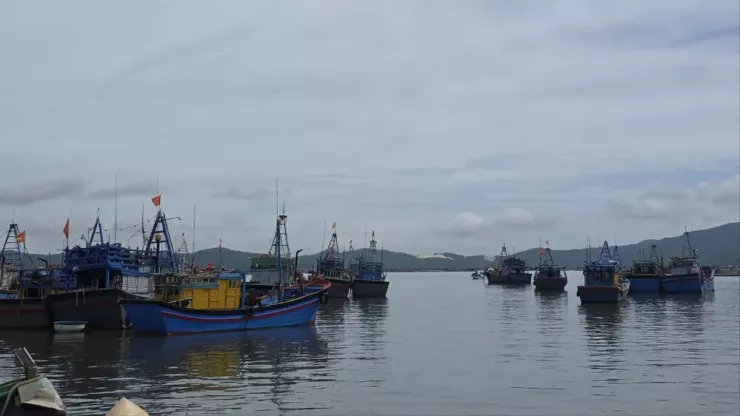 Tàu thuyền ở Đắk Lắk đang ghé về bờ để tránh bão Kalmaegi. Ảnh: M.N