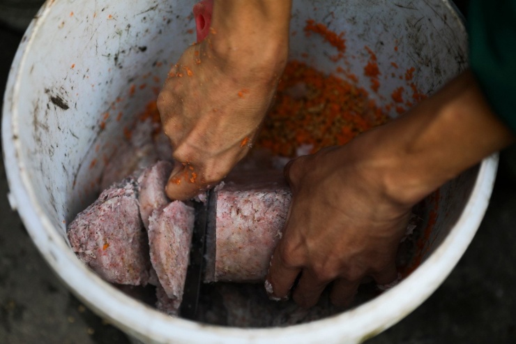 Kỳ tích hồng hạc con đầu tiên chào đời tại Thảo Cầm Viên sau 20 năm - 5