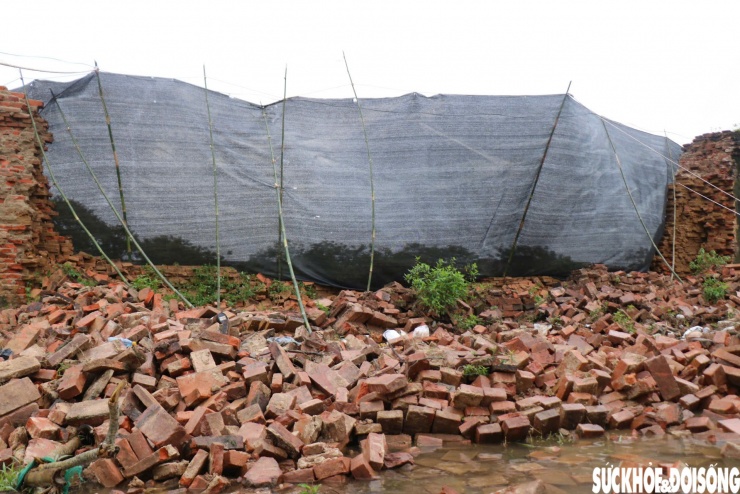 Hiện trường đoạn bờ tường Hoàng thành Huế bị mưa lũ 'kéo sập' - 3