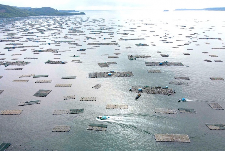 Theo UBND phường Xuân Đài, địa phương đã thông báo đến các hộ nuôi tôm có giải pháp bảo vệ an toàn nhất và tổ chức thu hoạch sớm, đến 12h ngày 6/11 tất cả các lao động nuôi tôm trên bè phải vào bờ để đảm bảo an toàn tính mạng khi mưa bão xảy ra.