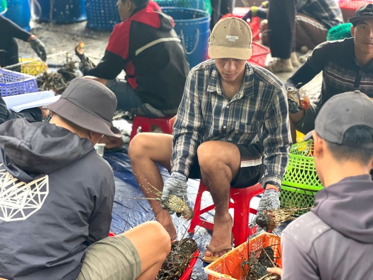 Thủ phủ tôm hùm lớn nhất miền Trung &#39;chạy bão&#39; - 7