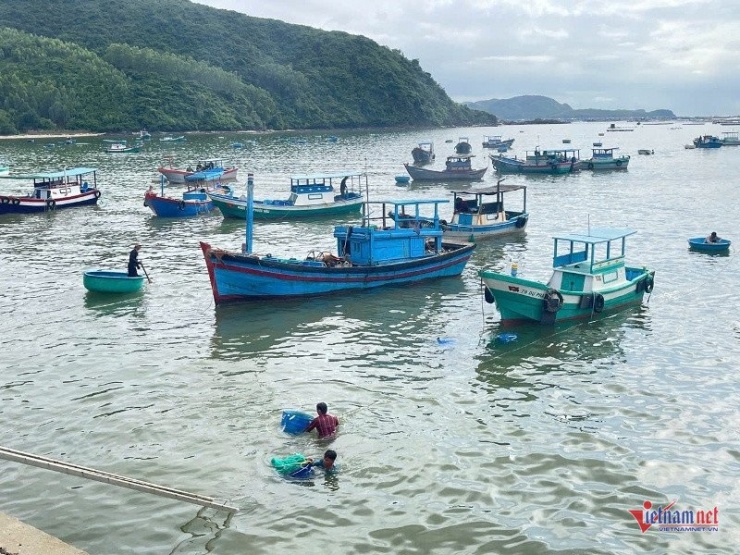 Hàng chục tàu thuyền liên tục ra vào cảng, mang theo hàng trăm lồng tôm lên bờ tiêu thụ sớm. Ảnh: Trần Hoàn