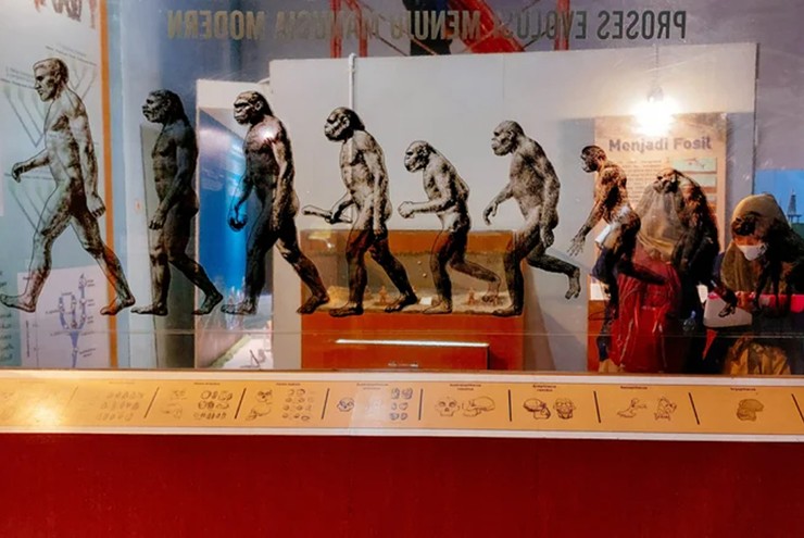 Nghiên cứu giúp chúng ta có cái nhìn rõ hơn về lịch sử tổ tiên loài người.