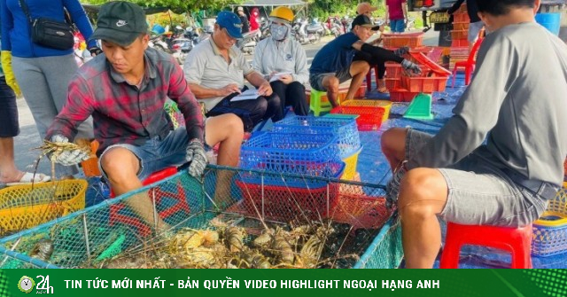 Ứng phó bão miền Trung tôm hùm