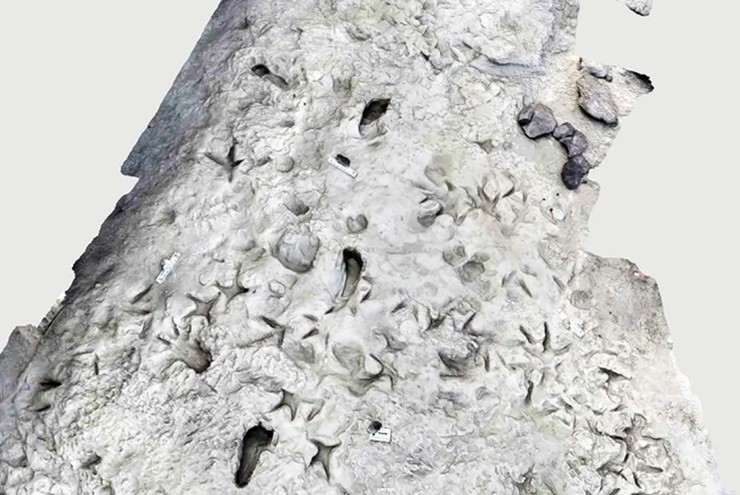 Những dấu chân được lưu lại tại&nbsp;lớp TS-2.