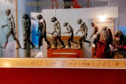 Bằng chứng hai loài tổ tiên của con người có thể đã cùng tồn tại