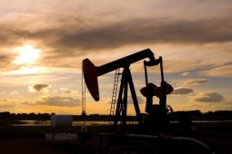 Tồn kho dầu Mỹ tăng vọt: Giá dầu lao dốc, thị trường toàn cầu chao đảo