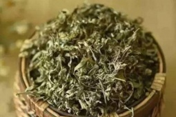 Tin tức sức khỏe - Thứ lá quen thuộc bất ngờ được săn lùng vì công dụng hỗ trợ giảm đau khớp khó tin