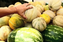 Tin tức sức khỏe - 7 Thực phẩm cực tốt cho người bàng quang yếu, tiểu đêm, tiểu són