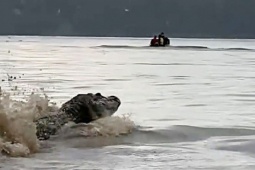 Bạn trẻ - Cuộc sống - Du khách kinh hãi khi thấy thứ đáng sợ nổi lên từ dưới nước