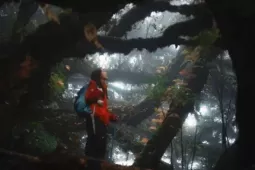 Du lịch - Lạc vào rừng rêu Phu Sa Phìn chốn mộng giữa đại ngàn Tây Bắc