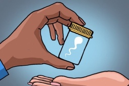 Sa bẫy 'chợ tinh trùng' giá rẻ trên Facebook