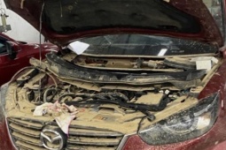 Bảo hiểm chi trả hàng trăm tỉ đồng tiền bồi thường thiệt hại do bão, lũ