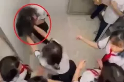 Giáo dục - du học - Vụ nữ sinh lớp 8 bị đánh hội đồng trong nhà vệ sinh: Rạn 3 xương sườn