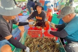 Thị trường - Tiêu dùng - Người dân Đắk Lắk hối hả bán tháo tôm hùm chạy bão số 13