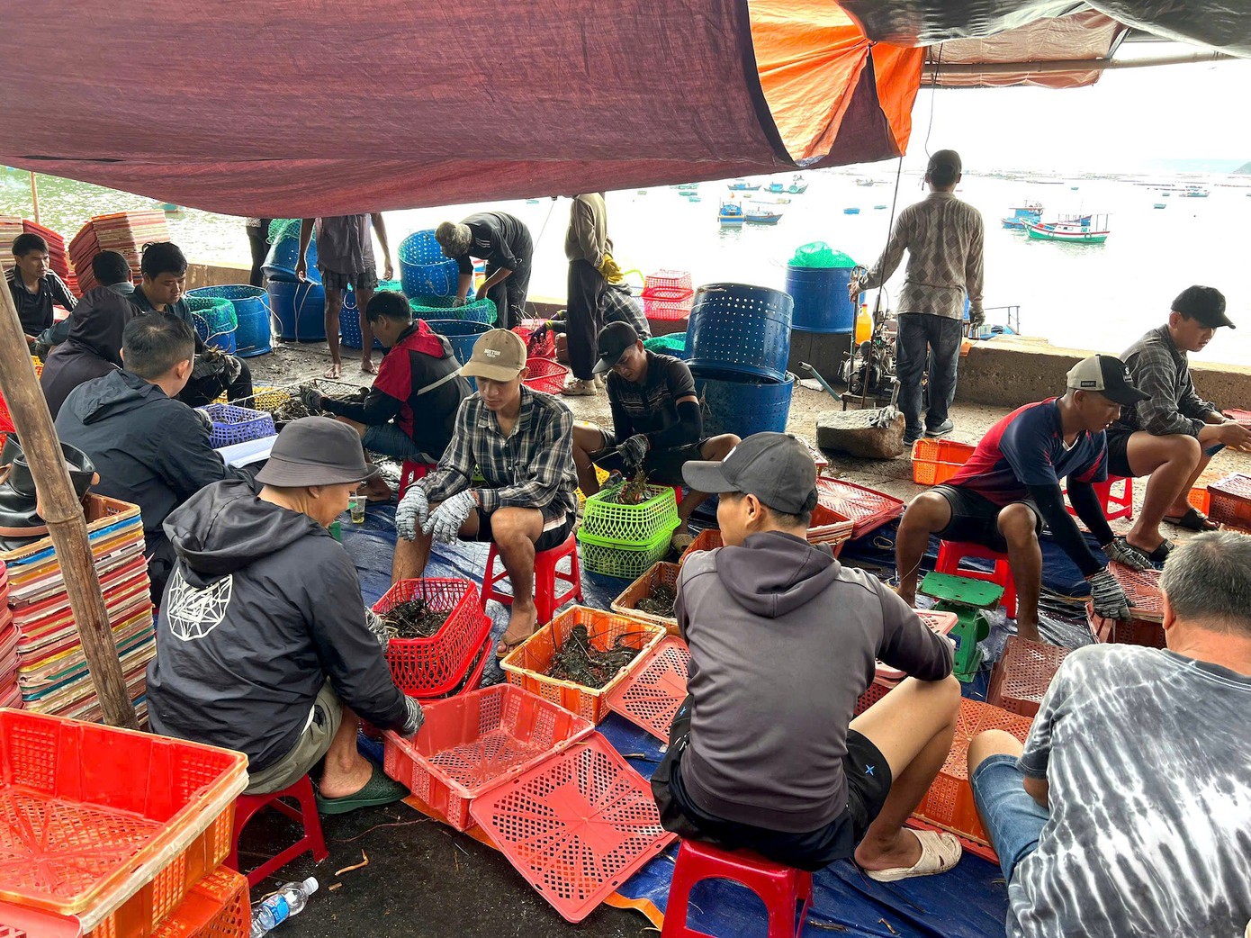 Bà con làm việc khẩn trương trước cơn bão nguy hiểm đang đổ bộ.