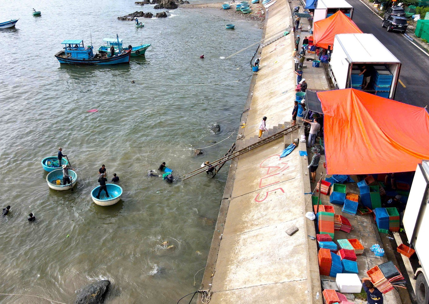 Hàng ô tô đông lạnh tiếp nhận tôm hùm.