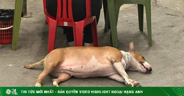 Mr. Gold game Hà Nội quán ăn