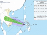 Bão số 13 tăng cấp 13 - 14: Người dùng Google cập nhật thời tiết TP.HCM, Nha Trang