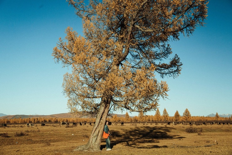Khách Việt đi ngắm thu ở Mông Cổ: Ngày say xe dữ dội, đêm canh củi đốt lò - 10