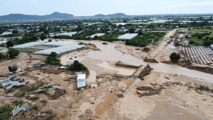 Hàng chục héc-ta (ha) vườn táo của người dân chìm trong bùn đất.
