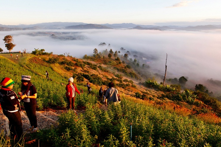 Điểm săn mây Yun Lai, Mae Hong Son