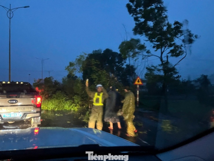 Cây xanh bị đổ bên đường trên quốc lộ 1 qua Đắk Lắk.