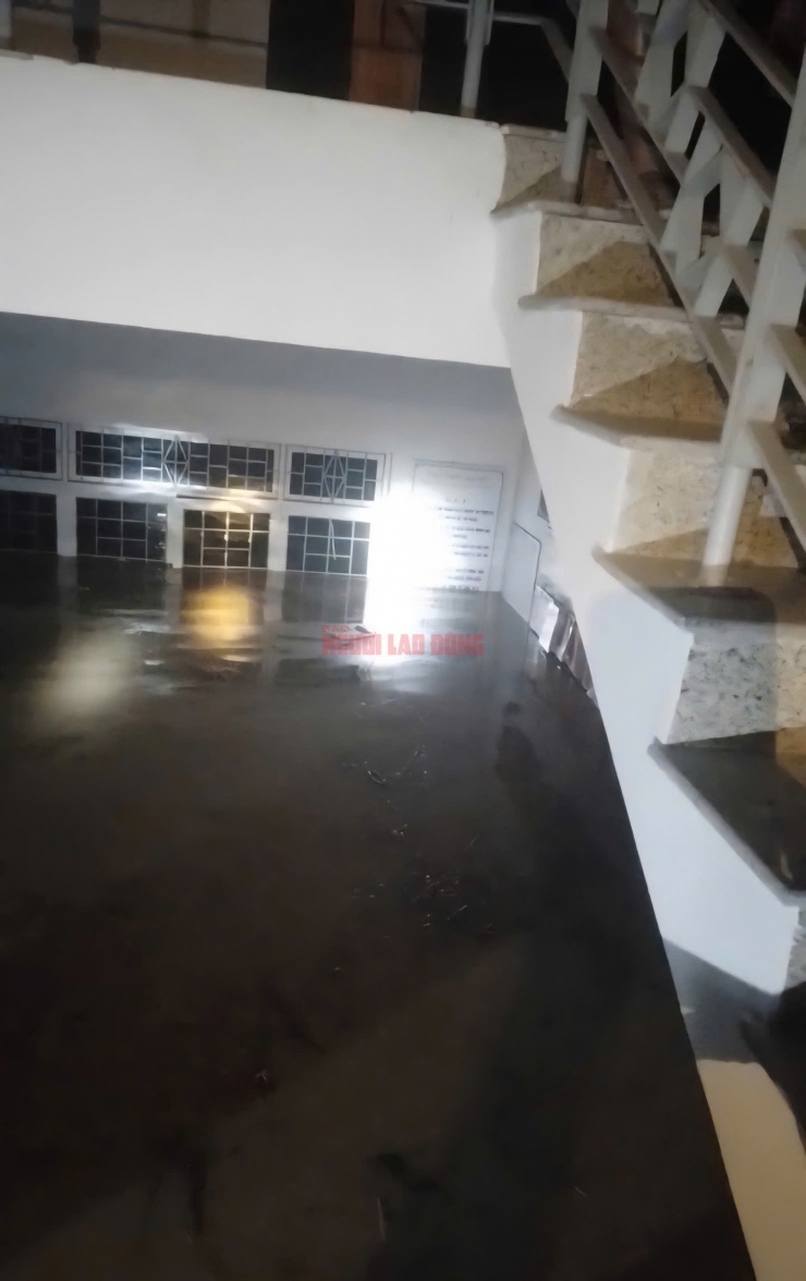 Những hình ảnh đầu tiên về thiệt hại ở Gia Lai, Đắk Lắk sau bão số 13 - 3