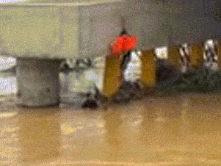 Khoảnh khắc ‘người hùng áo đen’ đu dây xuống dòng lũ dữ, cứu người bị cuốn trôi