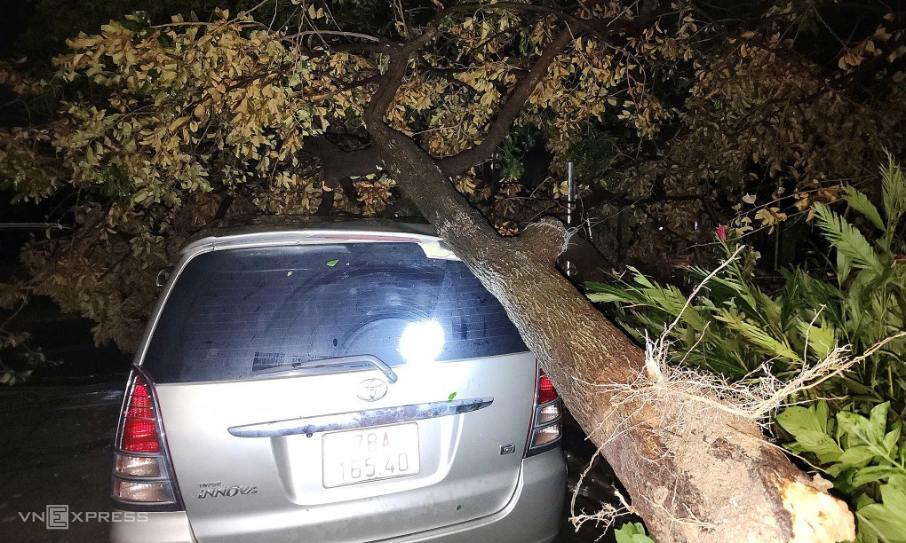 Cây đổ đè ôtô ở phường Sông Cầu, Đăk Lăk. Ảnh: Đình Văn