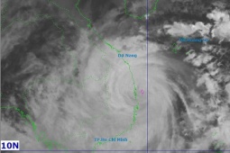 Bão Kalmaegi trên vùng biển Đăk Lăk - Gia Lai, mạnh cấp 14