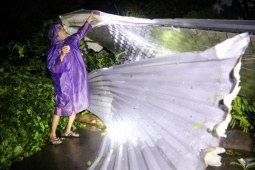 Tin tức trong ngày - Cửa kính vỡ, mái tôn bay khi bão quét qua