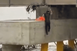 Thót tim cảnh thanh niên lao xuống dòng nước xiết sông Thu Bồn cứu người