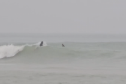 Tin tức trong ngày - CLIP: Người dân, du khách ở Nha Trang lướt sóng, "ngóng bão", bất chấp nguy hiểm