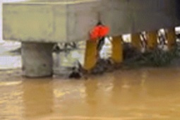 Bạn trẻ - Cuộc sống - Khoảnh khắc ‘người hùng áo đen’ đu dây xuống dòng lũ dữ, cứu người bị cuốn trôi