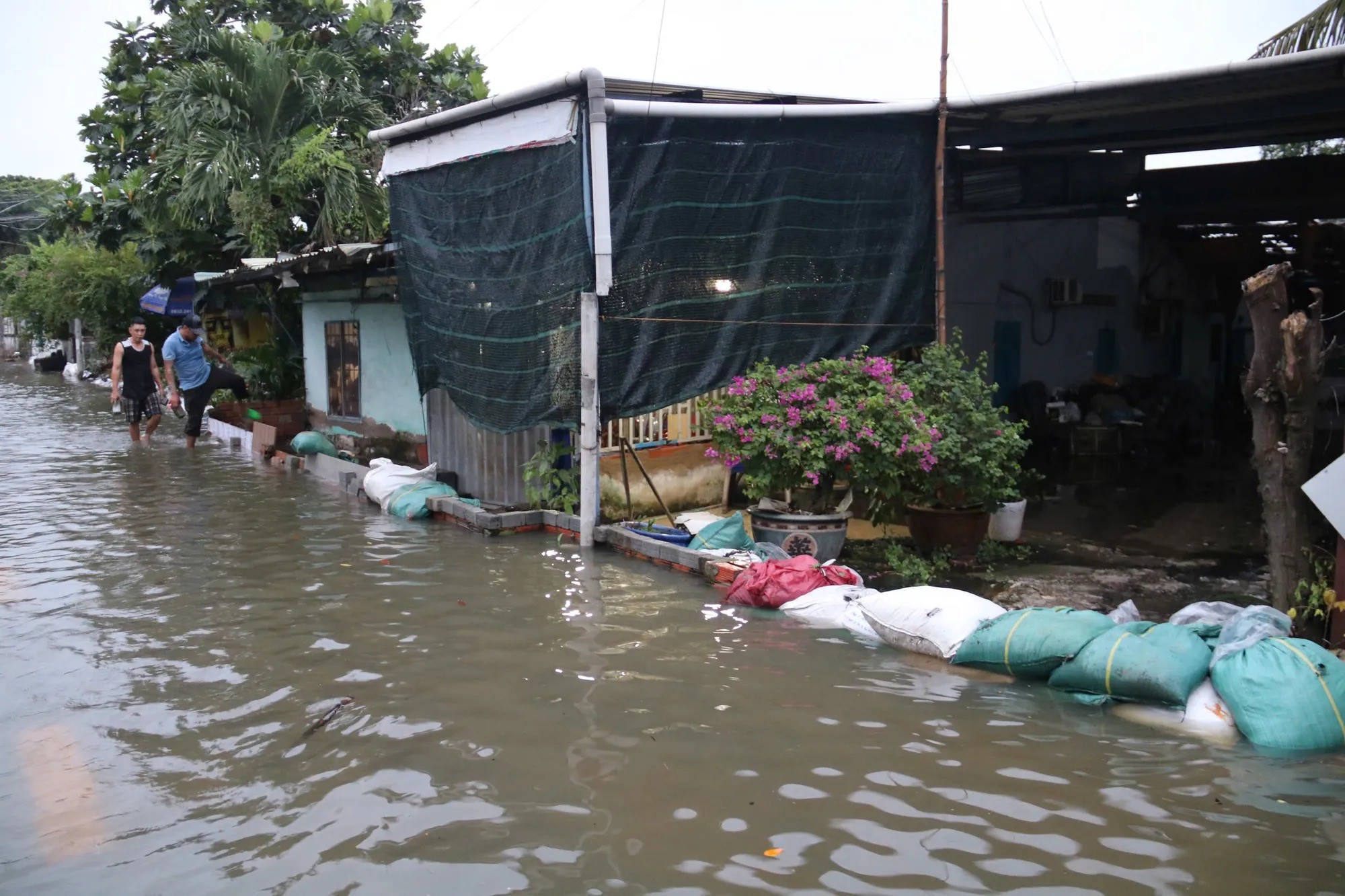 TP.HCM: Xe chết máy hàng loạt, đường hóa sông trong ngày triều cường vượt mốc lịch sử - 16
