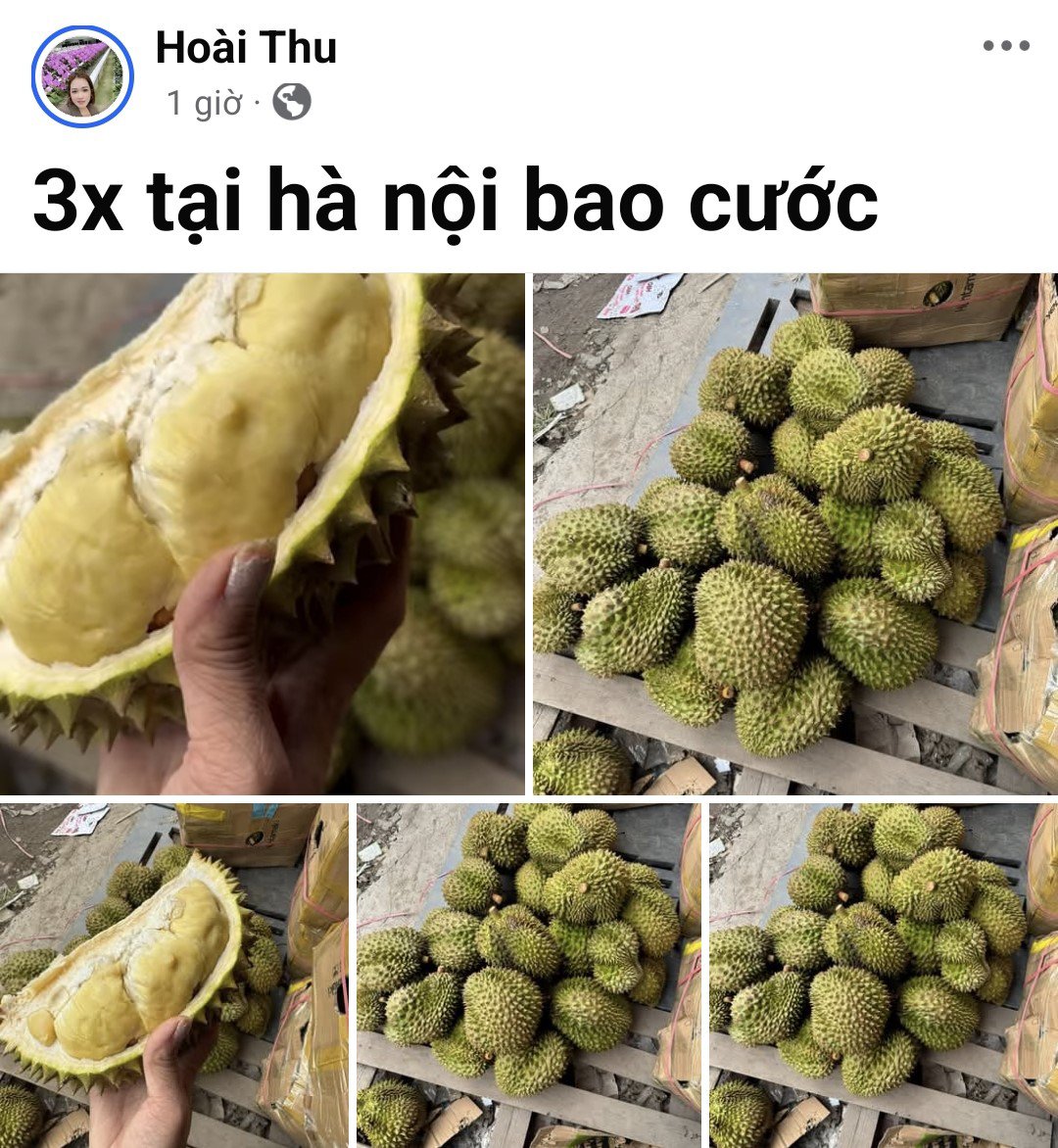 Sầu riêng được rao bán khắp nơi với giá "siêu rẻ". (Ảnh chụp màn hình)