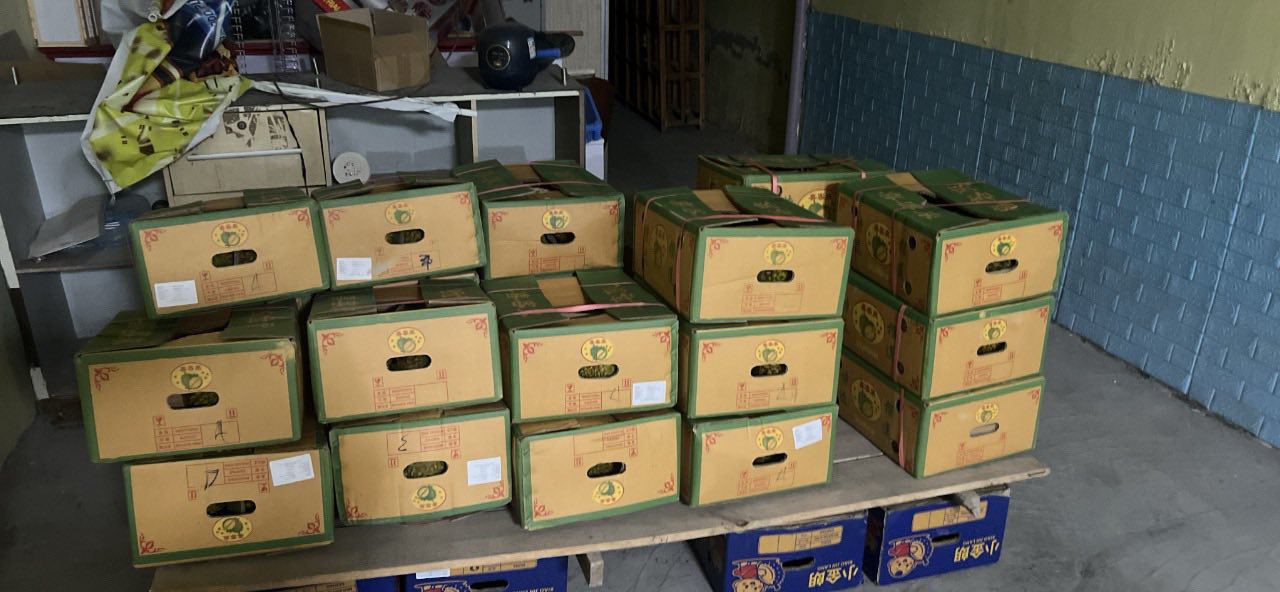 Một số là sầu riêng xuất khẩu quay đầu do nhiều phòng xét nghiệm phục vụ kiểm nghiệm nông sản tạm dừng hoạt động để bảo trì vào cuối tháng 10 vừa qua. (Ảnh: Nam sầu riêng)