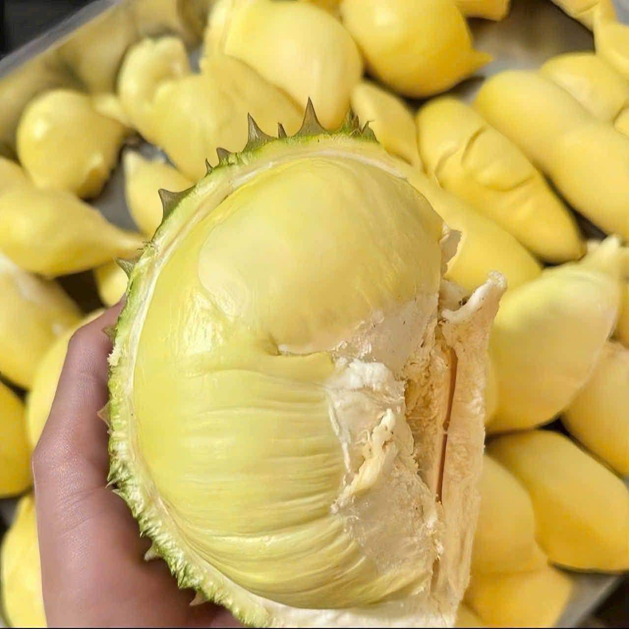 Sầu Thái từng có giá hàng trăm nghìn đồng/kg giờ được rao bán với giá chỉ từ 35-55 nghìn đồng/kg. (Ảnh: Tâm Nguyễn)