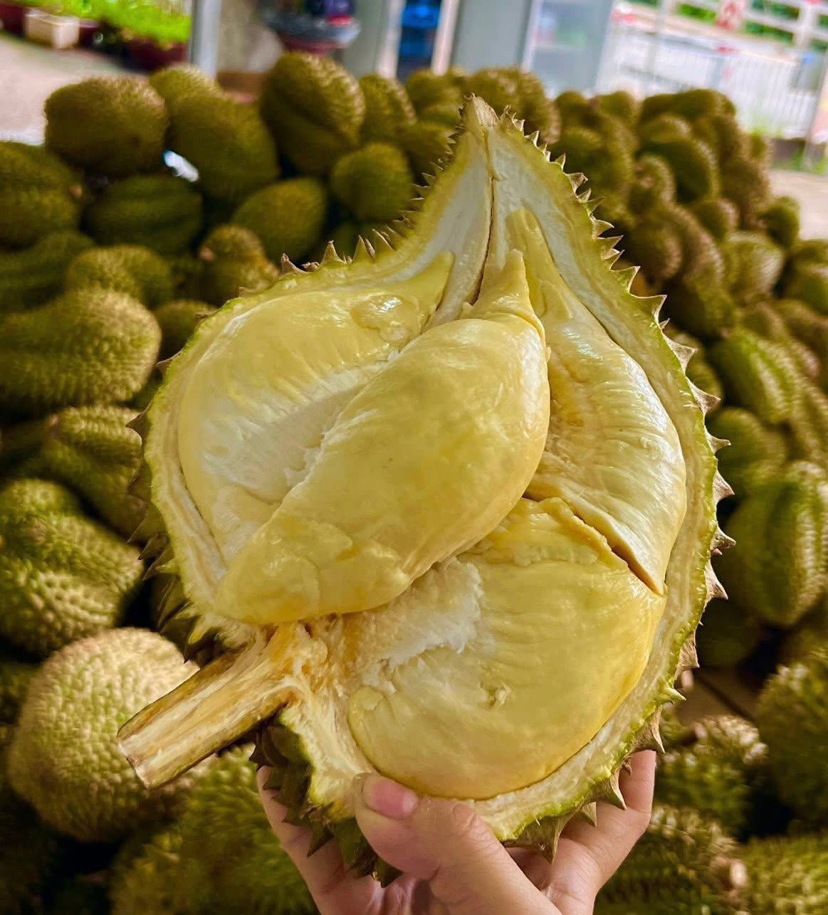 Theo anh Thành, sầu riêng giá rẻ tại chợ chủ yếu là sầu dạt, không phải sầu loại 1.