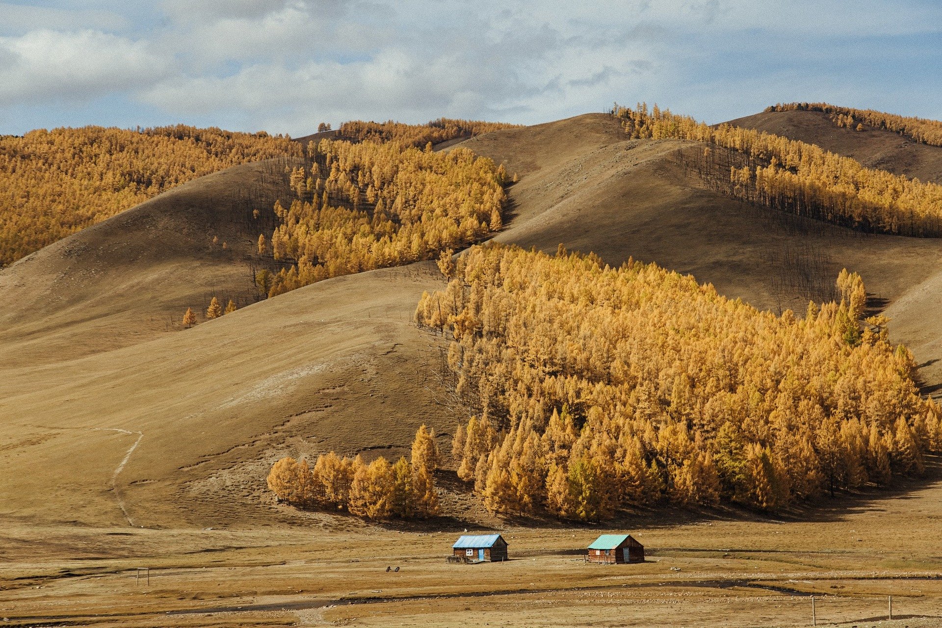 Thảo nguyên, rừng thông vàng, suối nhỏ và núi đồi đẹp vô thực của Mông Cổ
